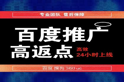 百度推广公司案例研究：揭秘企业快速崛起的秘密